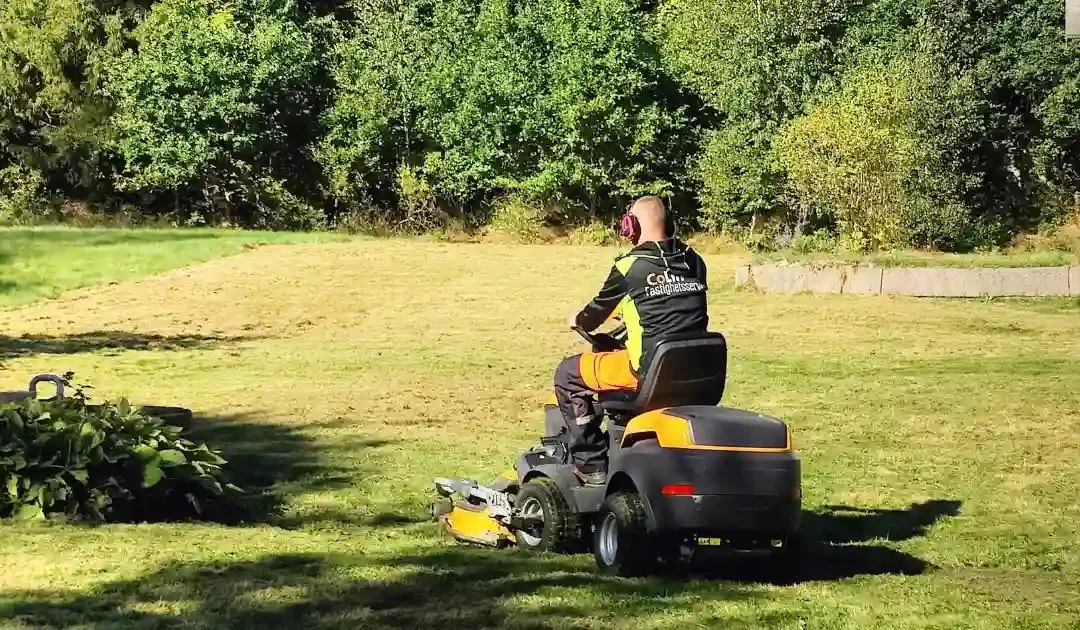 Vi tar hand om din grönyteskötsel Västra Götaland – boka vårstädning för trädgården idag